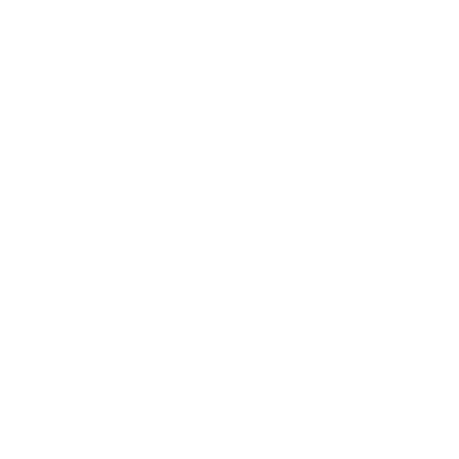 feature-item-4