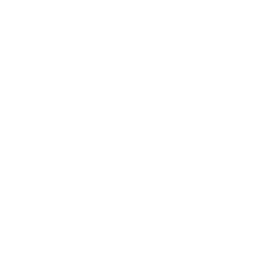 feature-item-1